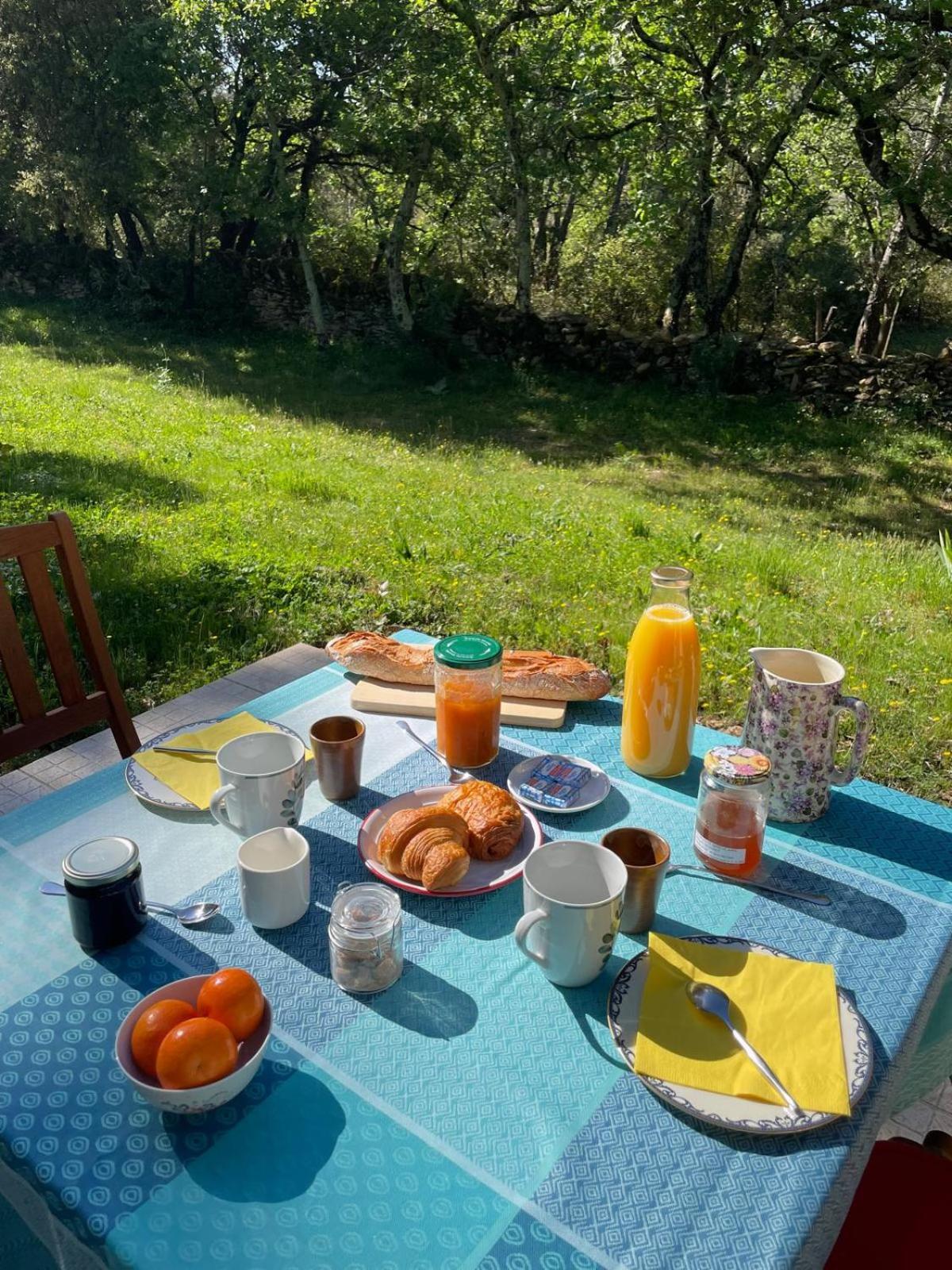 Les Marguerites Bed & Breakfast Vers-Pont-du-Gard Eksteriør bilde